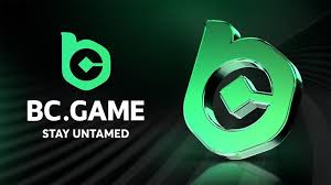 Unlocking the Excitement A Complete Guide to BC.Game Bonus Codes